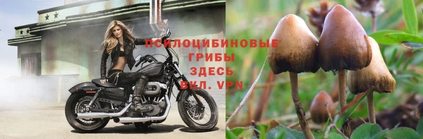 гидропоника Липки