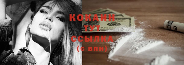 гидра Магас