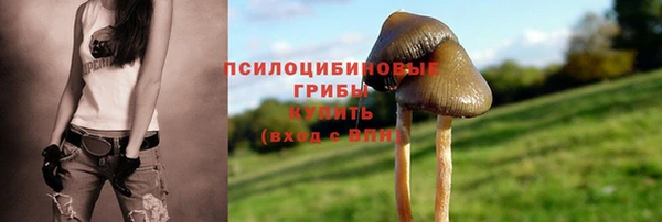 крисы Лиски