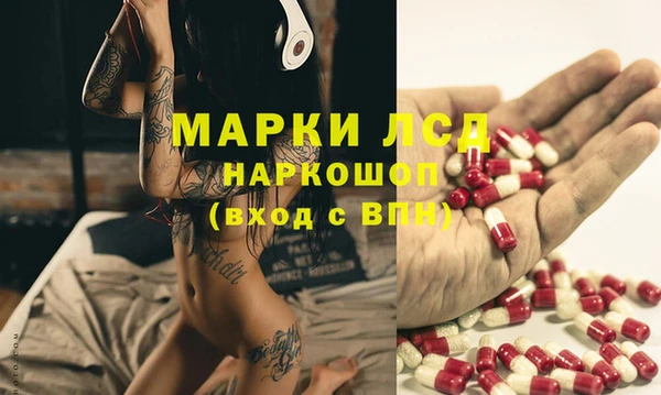 гидра Магас